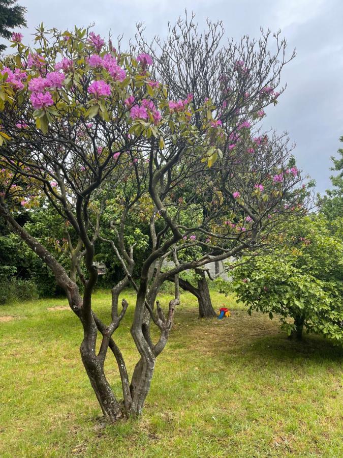 Hostal Das Hause Puerto Varas Exteriör bild